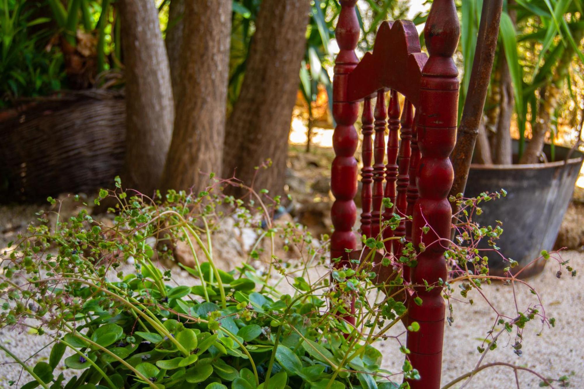 Alojamiento Rural Las Acacias Кабра Экстерьер фото